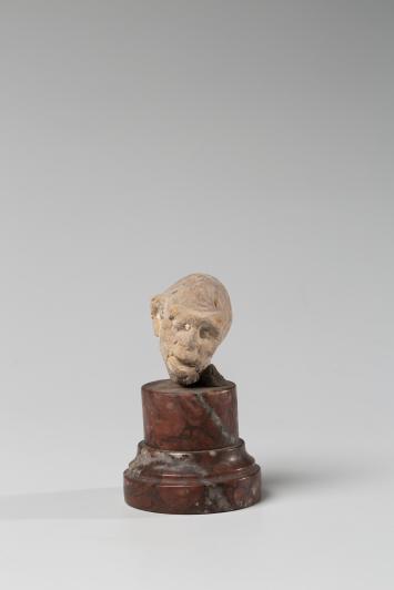 Tête (Co. 2462) Face