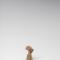 Grotesque (Co. 2728) Profil droit